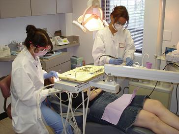 Dr. Beth B. Messinger at work